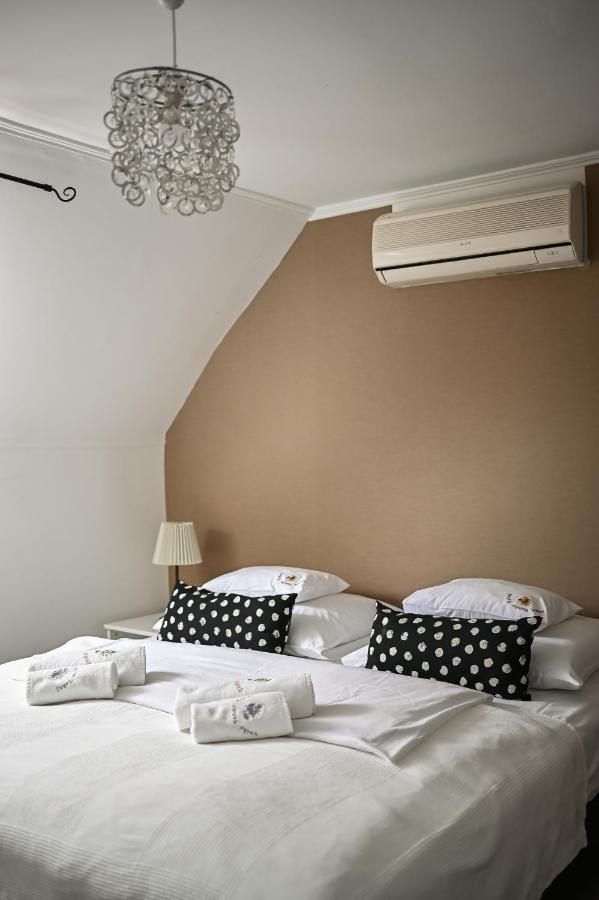 Vasko Panzio Borpince Bed & Breakfast Tokaj Dış mekan fotoğraf