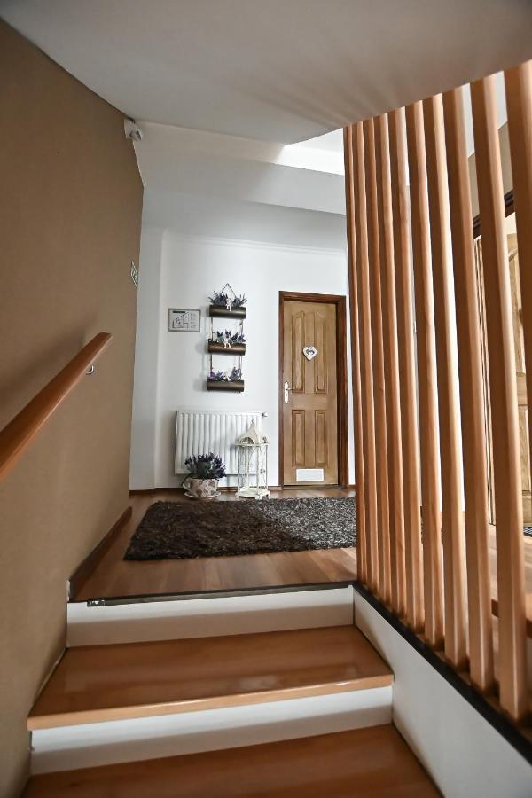 Vasko Panzio Borpince Bed & Breakfast Tokaj Dış mekan fotoğraf