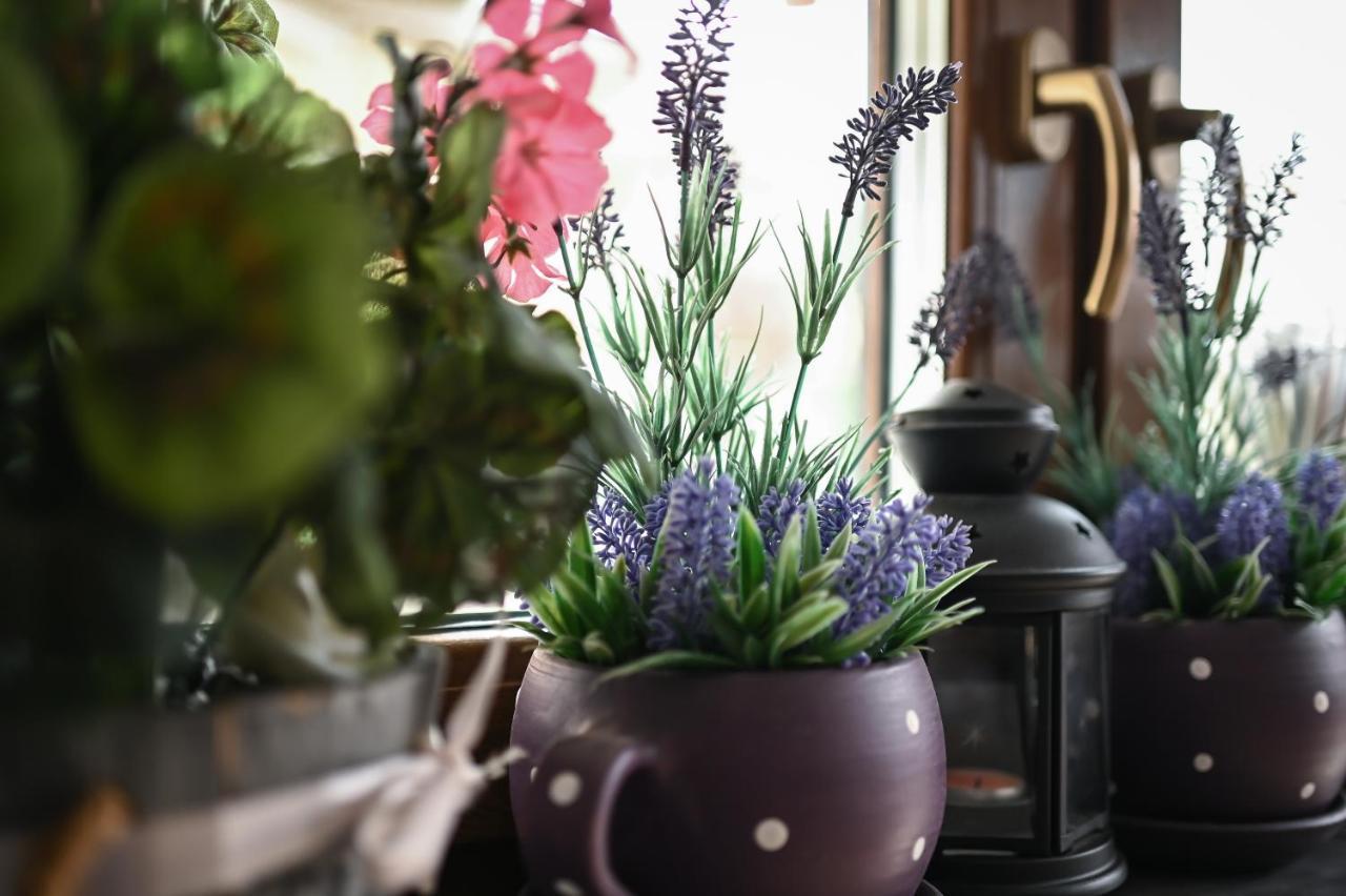 Vasko Panzio Borpince Bed & Breakfast Tokaj Dış mekan fotoğraf
