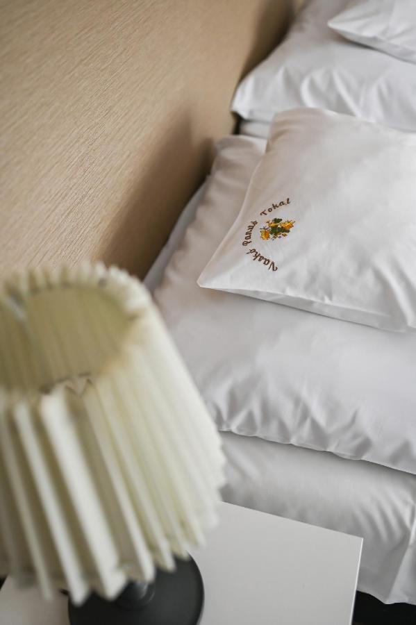 Vasko Panzio Borpince Bed & Breakfast Tokaj Dış mekan fotoğraf