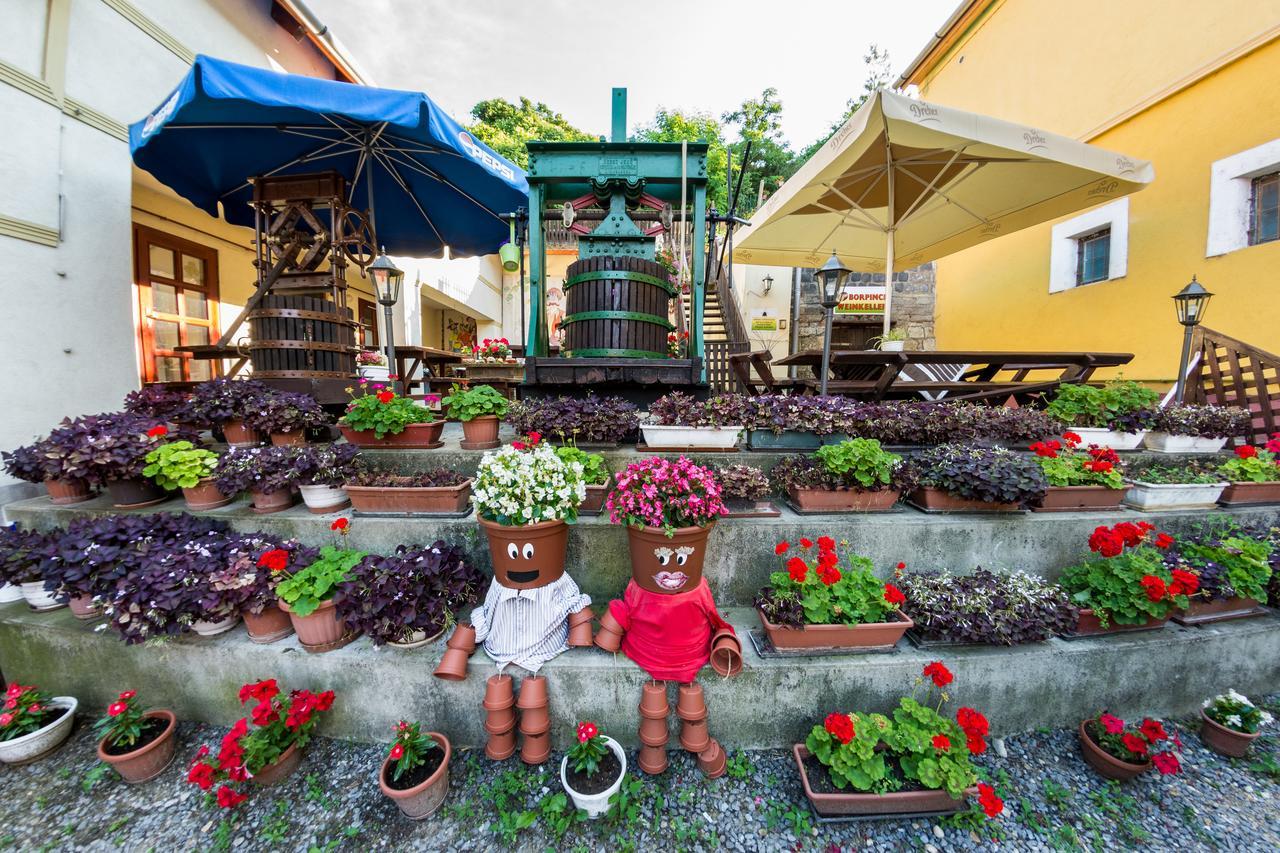 Vasko Panzio Borpince Bed & Breakfast Tokaj Dış mekan fotoğraf