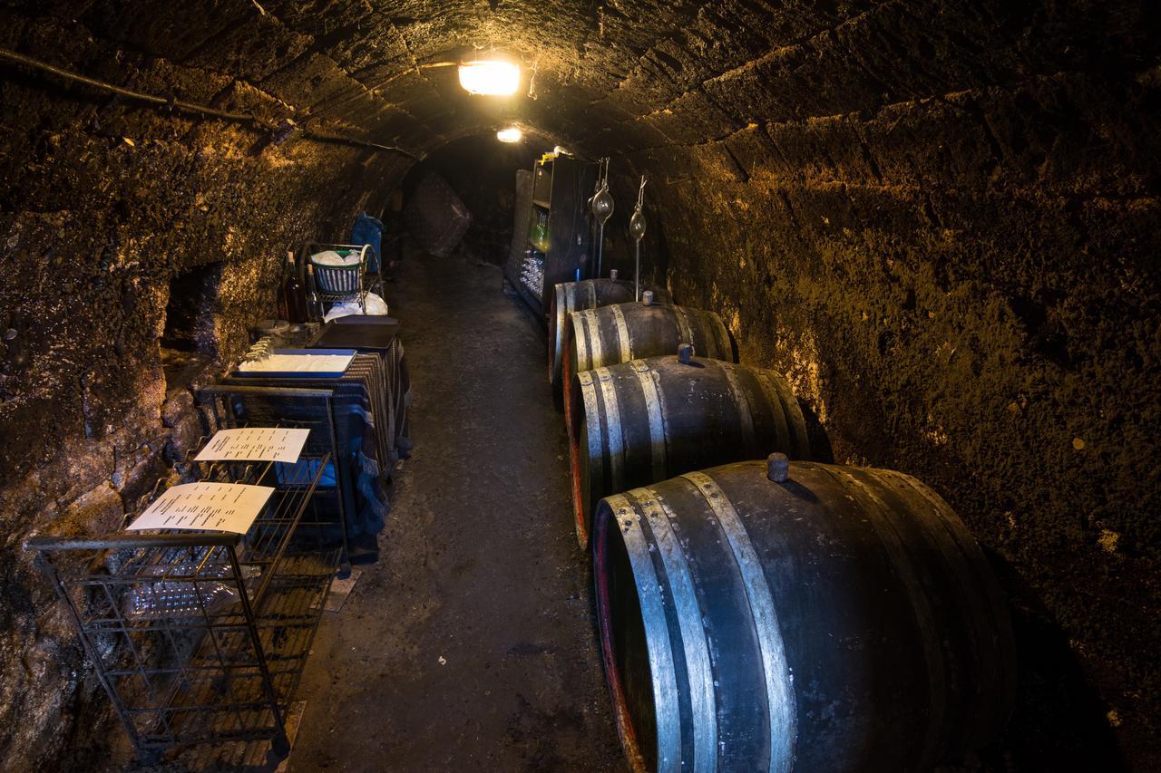 Vasko Panzio Borpince Bed & Breakfast Tokaj Dış mekan fotoğraf